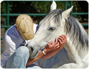 equine assisted psychotherapy eap for addiction Equine-assisted psychotherapy, often called simply equine therapy, has turned out to be a highly effective way to help people with drug addiction, particularly if. equine assisted psychotherapy eap for addiction Equine-assisted psychotherapy, often called simply equine therapy, has turned out to be a highly effective way to help people with drug addiction, particularly if.